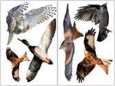Raamsticker vogels - Herbruikbare statische folie | Vogelbescherming | Vogelstickers
