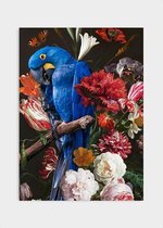 Poster Macaw Parrot - Plexiglas - Meerdere Afmetingen & Prijzen | Wanddecoratie - Interieur - Art - Wonen - Schilderij - Kunst