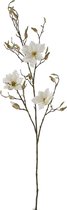 J-Line Kunstplant Magnolia Tak Plastic Ecru / Bruin 119cm