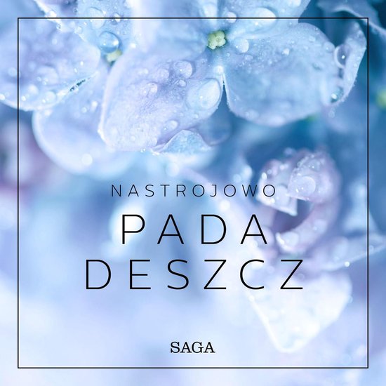 Nastrojowo - Pada deszcz - cover