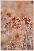JUNIQE - Poster in kunststof lijst Autumnal Flowers -20x30 /Oranje &