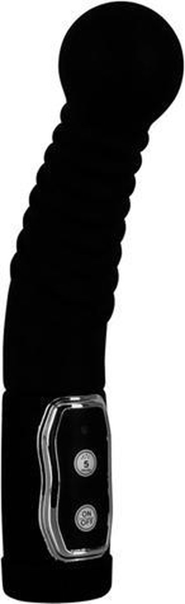 Prostate Twister - Prostaat-/G-spotvibrator