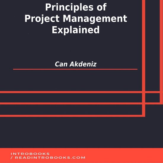 Principles of Project Management Explained - cover
