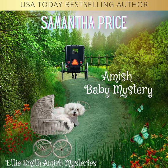 Amish Baby Mystery - cover
