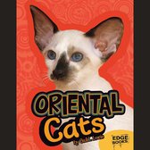 Oriental Cats