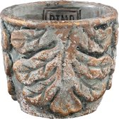 PTMD Weston Green cement pot roest blad rond XS
