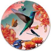 Wandcirkel Kleurrijke kolibries met bloemen op hout - WallCatcher | Multiplex 100 cm rond | Houten muurcirkel Hummingbirds with flowers