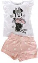 Disney Minnie Mouse 2-delige set - met zilverkleurige  glitterprint - roze/wit - maat 104 (4 jaar)