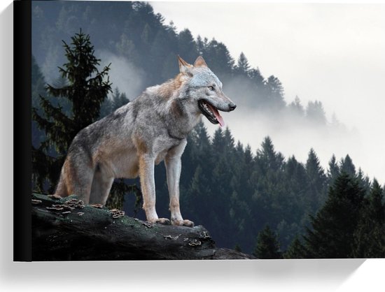 Canvas  - Wolf op Rots - 40x30cm Foto op Canvas Schilderij (Wanddecoratie op Canvas)