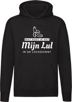 Wat moet ik met mijn lul in de lockdown Hoodie | virus | corona | banaan |  sweater | trui | unisex | capuchon