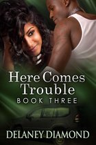 Hawthorne Family 3 - Here Comes Trouble