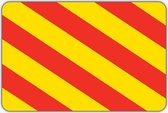 Vlag Sassenheim - 200 x 300 cm - Polyester