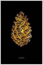 JUNIQE - Poster met kunststof lijst Pinecone gouden -20x30 /Goud &