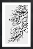 JUNIQE - Poster in houten lijst Winter Bird -60x90 /Grijs & Wit