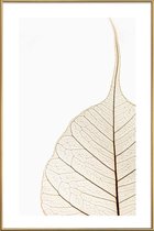 JUNIQE - Poster met kunststof lijst Translucent Leaf -13x18 /Wit