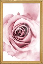 JUNIQE - Poster met houten lijst Roze pioenroosblaadjes -20x30 /Roze &