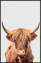 JUNIQE - Poster met kunststof lijst Highland Cow -13x18 /Bruin