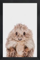 JUNIQE - Poster in houten lijst Hedgehog -30x45 /Bruin