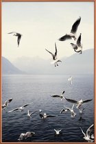 JUNIQE - Poster met kunststof lijst Meeuwen foto -13x18 /Blauw & Wit
