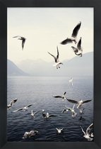 JUNIQE - Poster in houten lijst Meeuwen foto -20x30 /Blauw & Wit