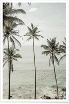 JUNIQE - Poster Tropical Dreams -20x30 /Blauw & Grijs