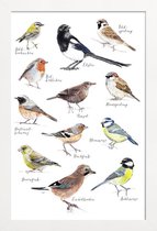 JUNIQE - Poster in houten lijst Vogel illustratie -20x30 /Kleurrijk