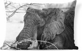 Buitenkussens - Tuin - Close-up van een Afrikaanse olifant in zwart-wit - 60x40 cm