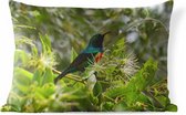 Buitenkussens - Tuin - Vogel tussen de bladeren in de jungle - 50x30 cm