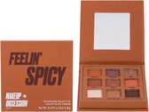 Makeup Obsession Feelin Spicy Shadow Palette