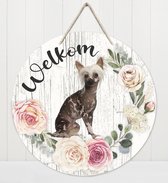 Welkom - Naakthond | Muurdecoratie - Bordje Hond