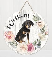 Welkom - Appenzeller Sennerhond | Muurdecoratie - Bordje Hond