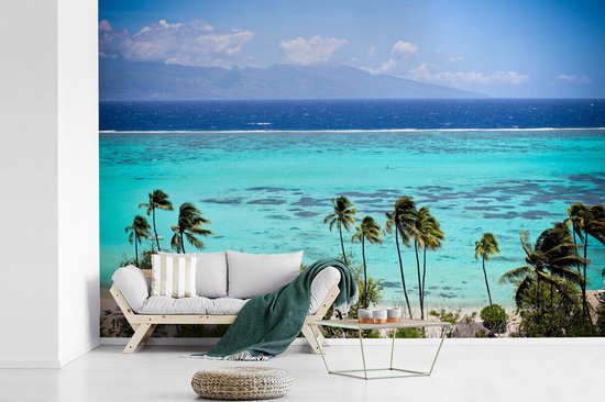 Papier peint photo en vinyle - Palmiers sur la côte de Moorea en Polynésie française largeur 360 cm x hauteur 240 cm - Tirage photo sur papier peint (disponible en 7 tailles)