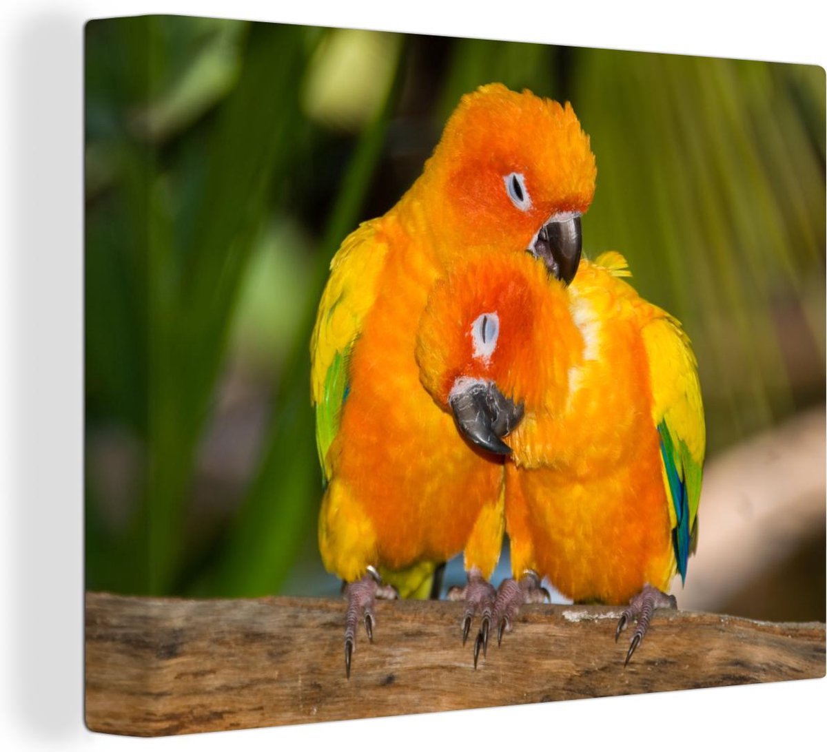 Canvas schilderij 40x30 cm - Wanddecoratie Twee Zonparkieten zitten op een boomstam - Muur