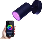 Hoftronic Smart Lago - Smart wandlamp voor buiten - Zwart - Besturing via app - WiFi - Bluetooth - Dimbaar - Slimme verlichting - 5.5 Watt - 400 lumen - 230V - RGBWW - Verwisselbare GU10 - Moderne muurlamp - Wandspot - Muurlamp