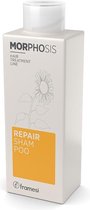 Framesi Morphosis Repair Shampoo