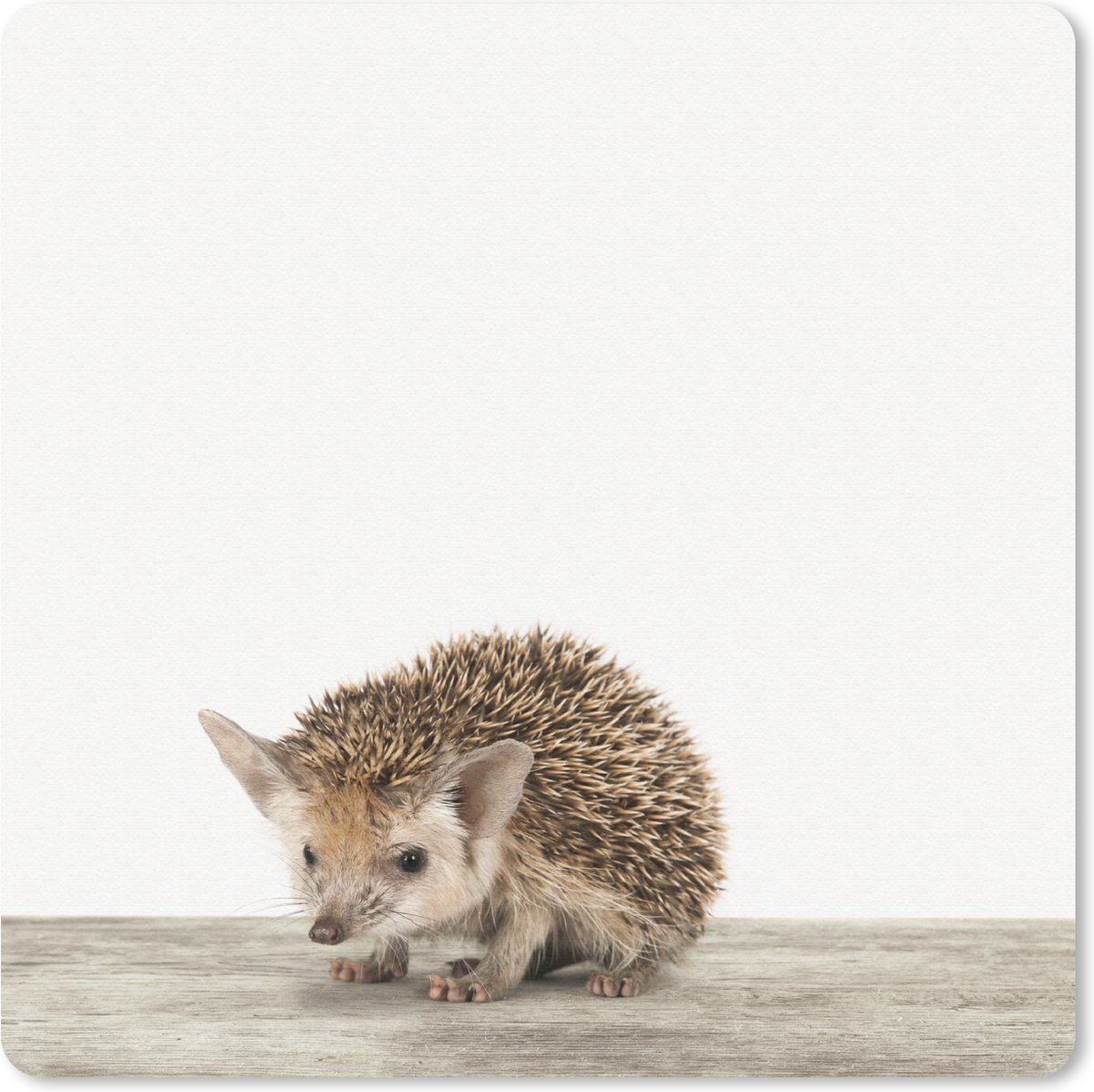 Muismat Animalprintshop - Egeltje dierenprint muismat rubber - 20x20 cm - Muismat met foto