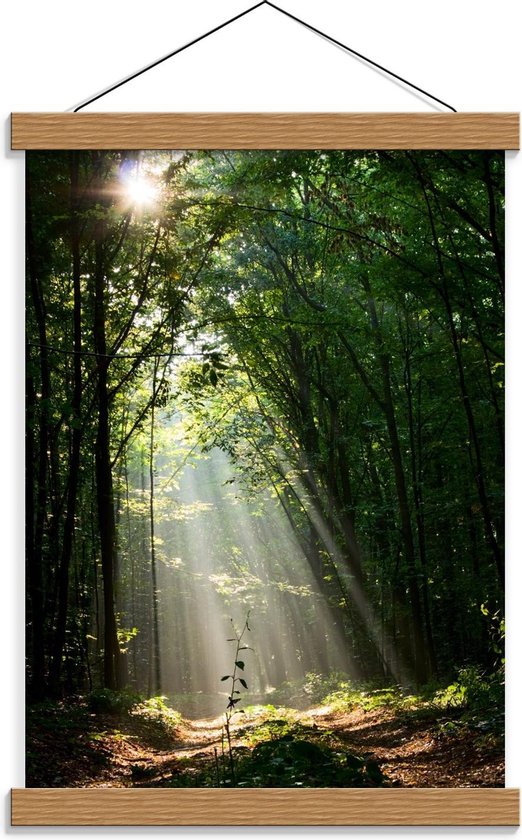 Affiche scolaire – Soleil qui brille à travers la forêt verte - 30x40cm Photo sur affiche textile (Décoration murale sur affiche scolaire)