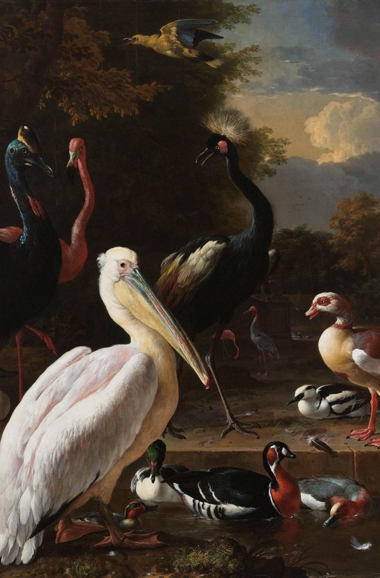 Schilderij - pelikaan en ander gevogele - Collectie dutch masters - Dibond wit - 98x148cm