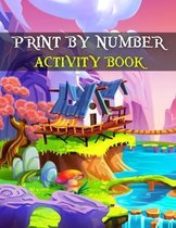 Print By Number Activity Book