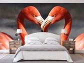 Professioneel Fotobehang Flamingo liefde - rood - Sticky Decoration - fotobehang - decoratie - woonaccesoires - inclusief gratis hobbymesje - 445 cm breed x 300 cm hoog - in 7 verschillende f