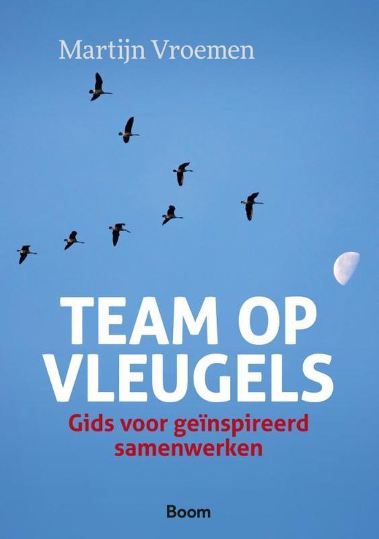 Cover van het boek 'Team op vleugels / druk 1' van Martijn Vroemen