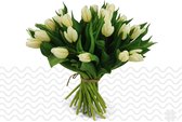 Verse bloemen boeket TULPEN (cadeau voor haar) - Wit - 10 per bos (brievenbusbloemen)