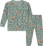 Prénatal Peuter Pyjama Jongens - Peuter Kleding - Dino / Groen - Maat 80