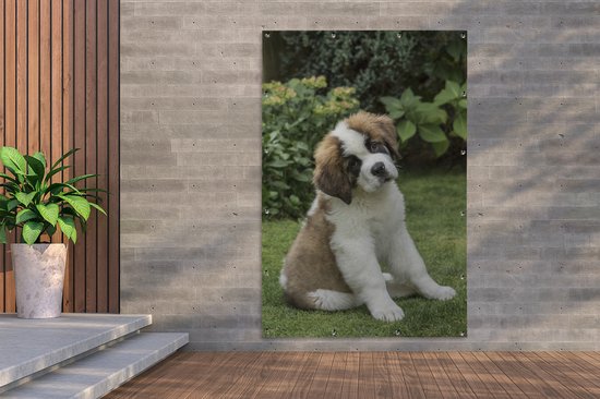 Affiche de jardin chiot Saint Bernard 3 mois toile en vrac 120x180 cm - Toile de jardin / Toile d'extérieur / Peintures d'extérieur (décoration de jardin) XXL / Groot format!