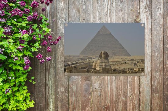 Grande affiche de jardin Sphinx en vrac