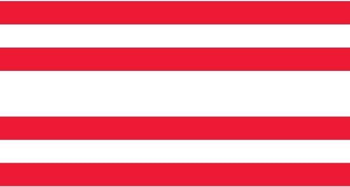 Vlag Gorinchem 30x45cm