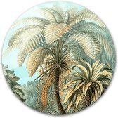 Wandcirkel Filicinae (Kleur) op hout - WallCatcher | Multiplex 100 cm rond | Meesterwerk van Ernst Haeckel | Houten muurcirkel Oude Meesters kunstwerken