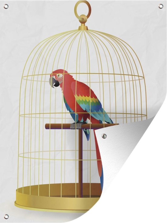 leeftijd banjo houding Tuin decoratie Een illustratie van een rode papegaai in een kooi - 30x40 cm  | bol.com