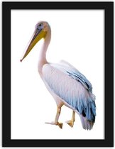 Foto in frame ,  Pelikaan , 3 maten , multikleur, wanddecoratie , Premium print