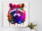 Rolling Raccoon kunst - 80x80 centimeter op Canvas | Foto op Canvas - wanddecoratie